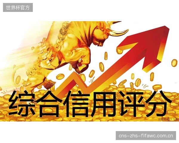 信用评分模型是否可能对老年或非智能手机用户构成新的“数字鸿沟”甚至歧视？